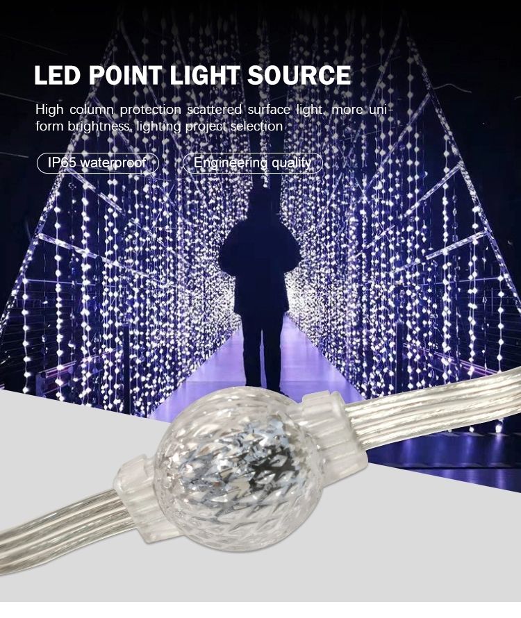 led digital pixel point light source (1)